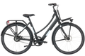 ROYL1 E-Bike Hollandrad