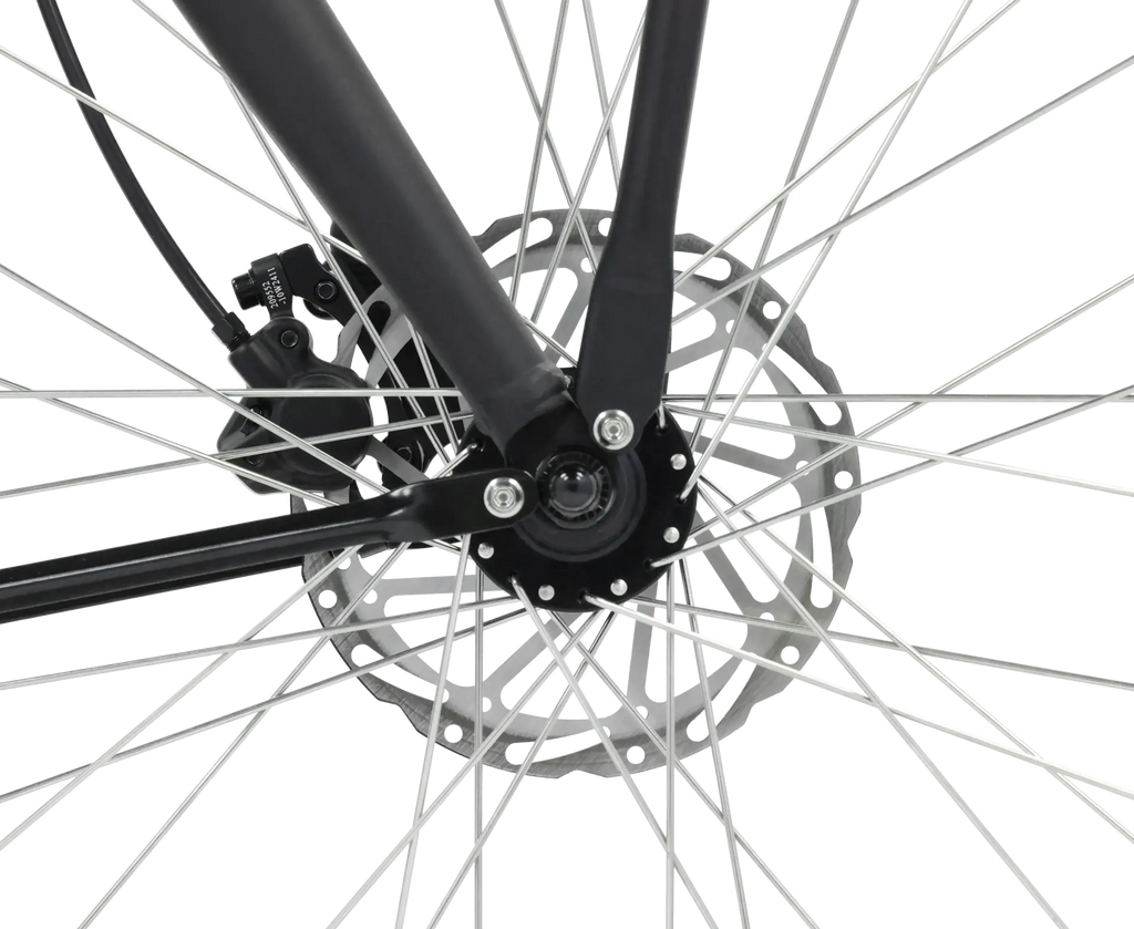 ROYL1 E-Bike Hollandrad