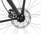 ROYL1 E-Bike Hollandrad