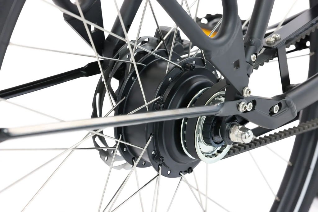 ROYL1 E-Bike Hollandrad