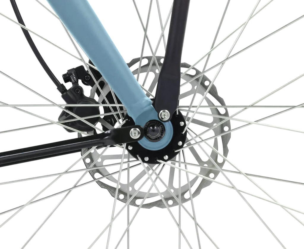 ROYL1 E-Bike Hollandrad