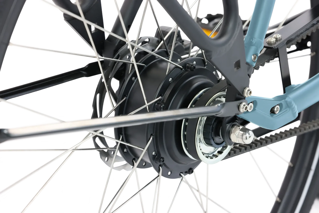 ROYL1 E-Bike Hollandrad