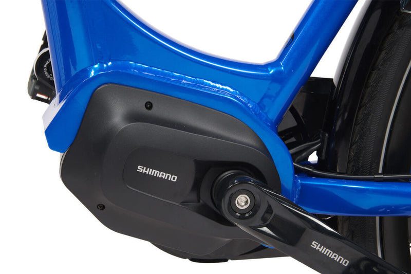 BSP Hermitage E Damen/Herren E-Bike D56 N7 large Upgrade Akku: 504Wh