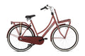 Popal Daily Dutch Basic+ 28 Zoll Hollandrad - COZYBIKE