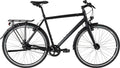 BBF CHECKER PIG "Zulu" Herren Trekkingrad 8-Gang ND -20%